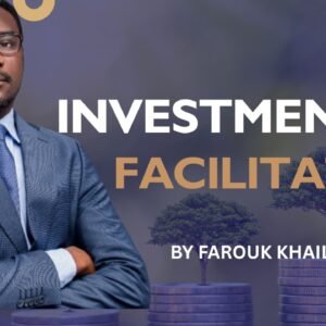 Investment Facilitation